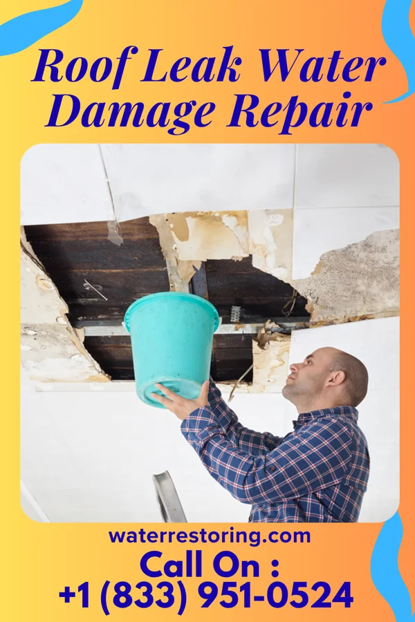 Roof Leak Water Damage Repair in Moccasin, AZ